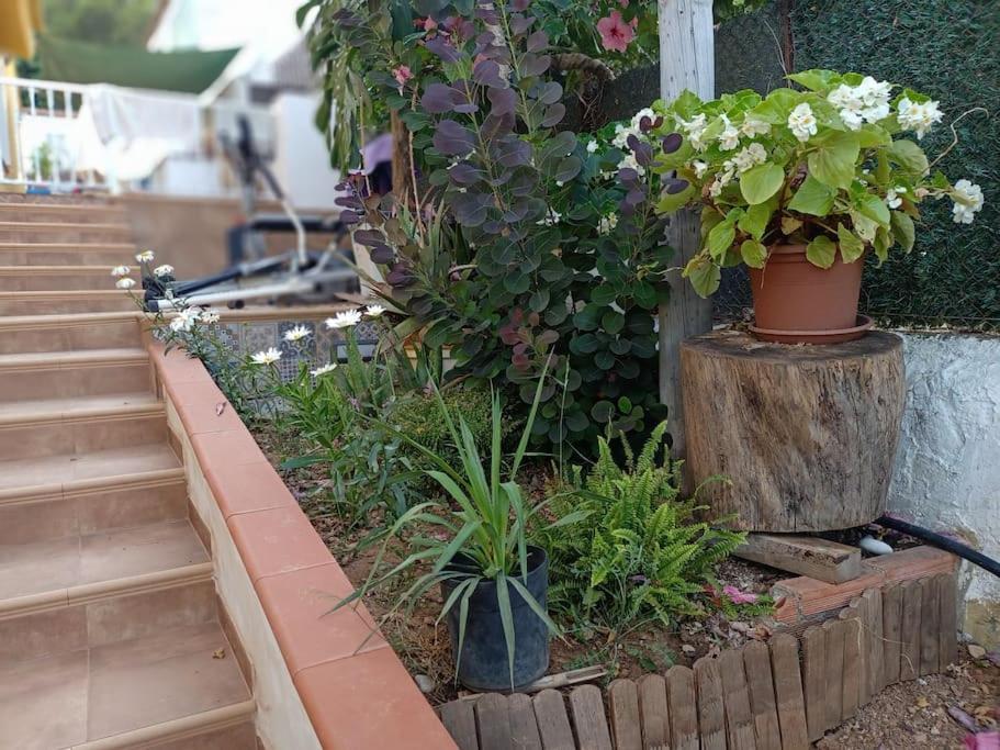 Villa Falconera Apartaments, Gandia A Las Faldas De La Montana Exterior foto