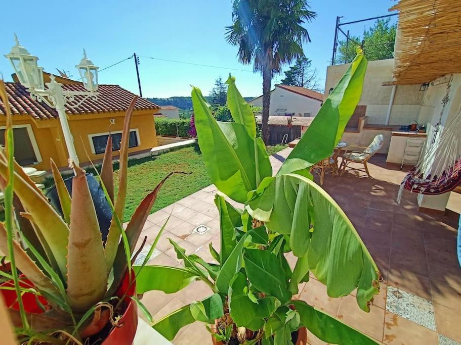 Villa Falconera Apartaments, Gandia A Las Faldas De La Montana Exterior foto